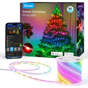 Govee 66ft Good RGBIC Christmas String Lights – App-Managed, 125+ Scene Modes, IP65 Waterproof, Music Sync, Alexa Appropriate – Good for Vacation Decor